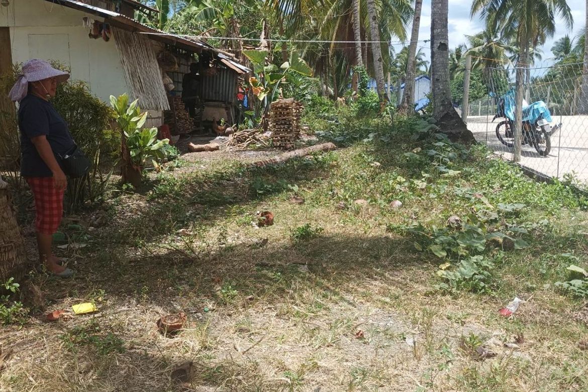 Land for Sale in Busogon, San Remigio, Cebu – photo 3
