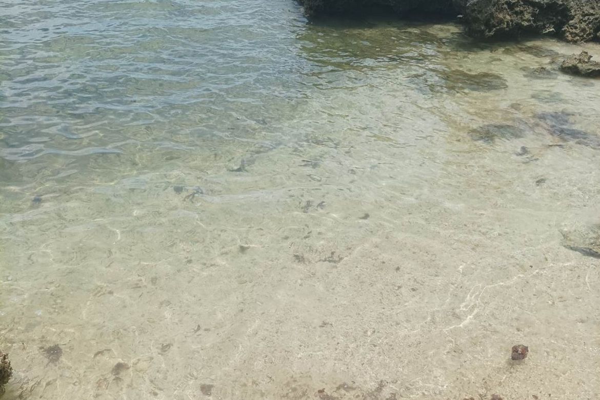 Land for Sale in Busogon, San Remigio, Cebu – photo 4
