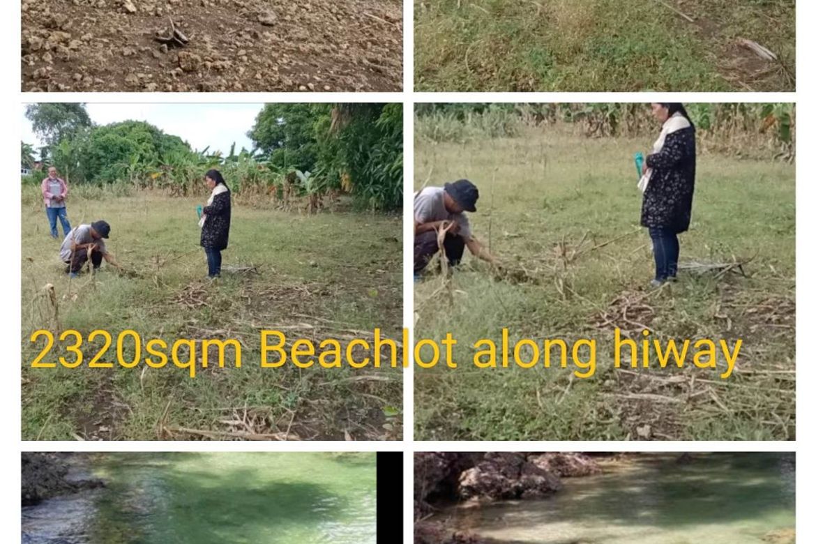 Land for Sale in Busogon, San Remigio, Cebu