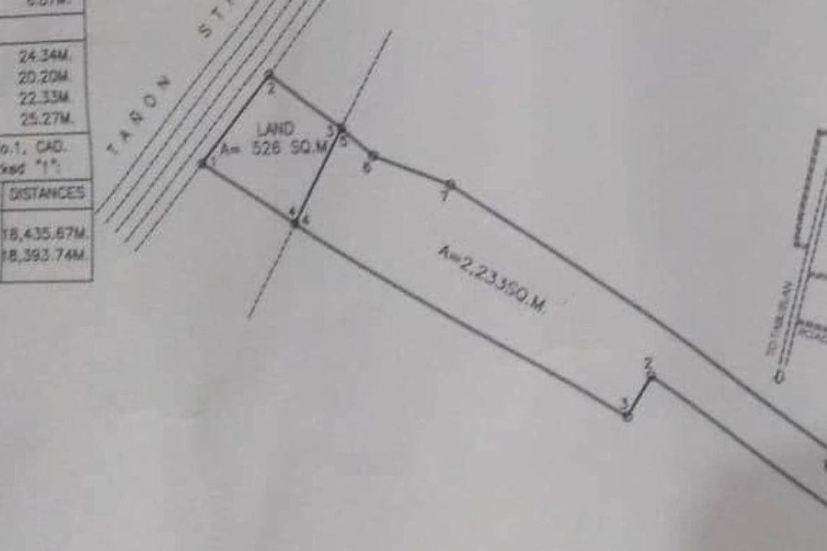 Land for Sale in Busogon, San Remigio, Cebu – photo 2