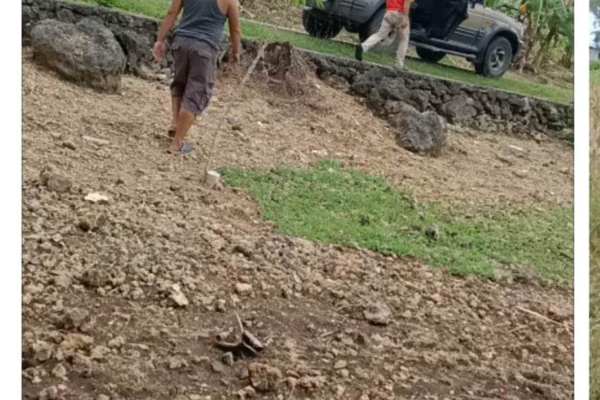 Land for Sale in Busogon, San Remigio, Cebu – photo 4