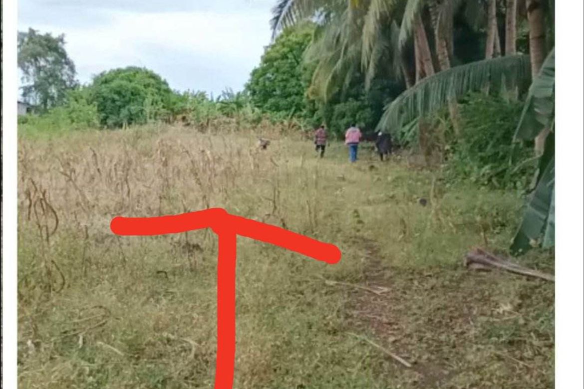 Land for Sale in Busogon, San Remigio, Cebu – photo 5
