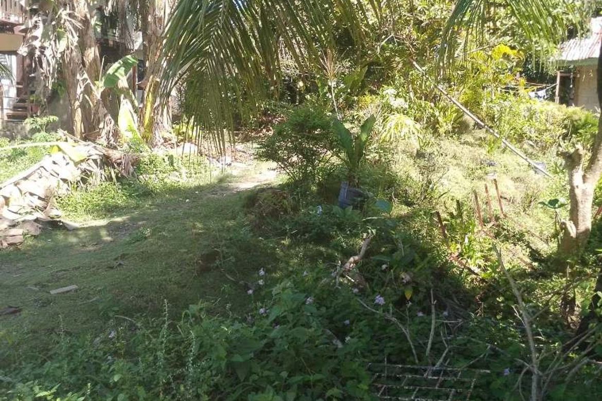 Land for Sale in Busogon, San Remigio, Cebu – photo 3