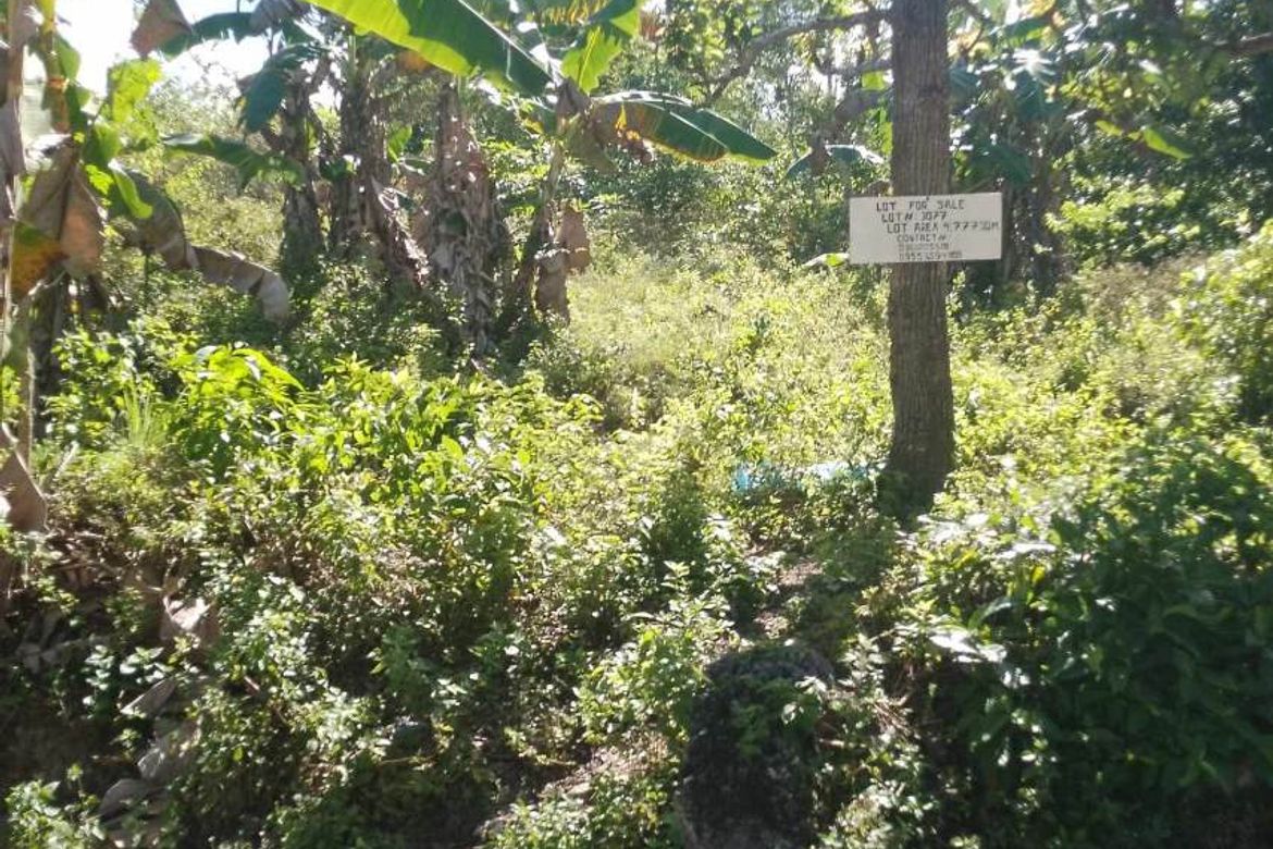 Land for Sale in Busogon, San Remigio, Cebu – photo 5