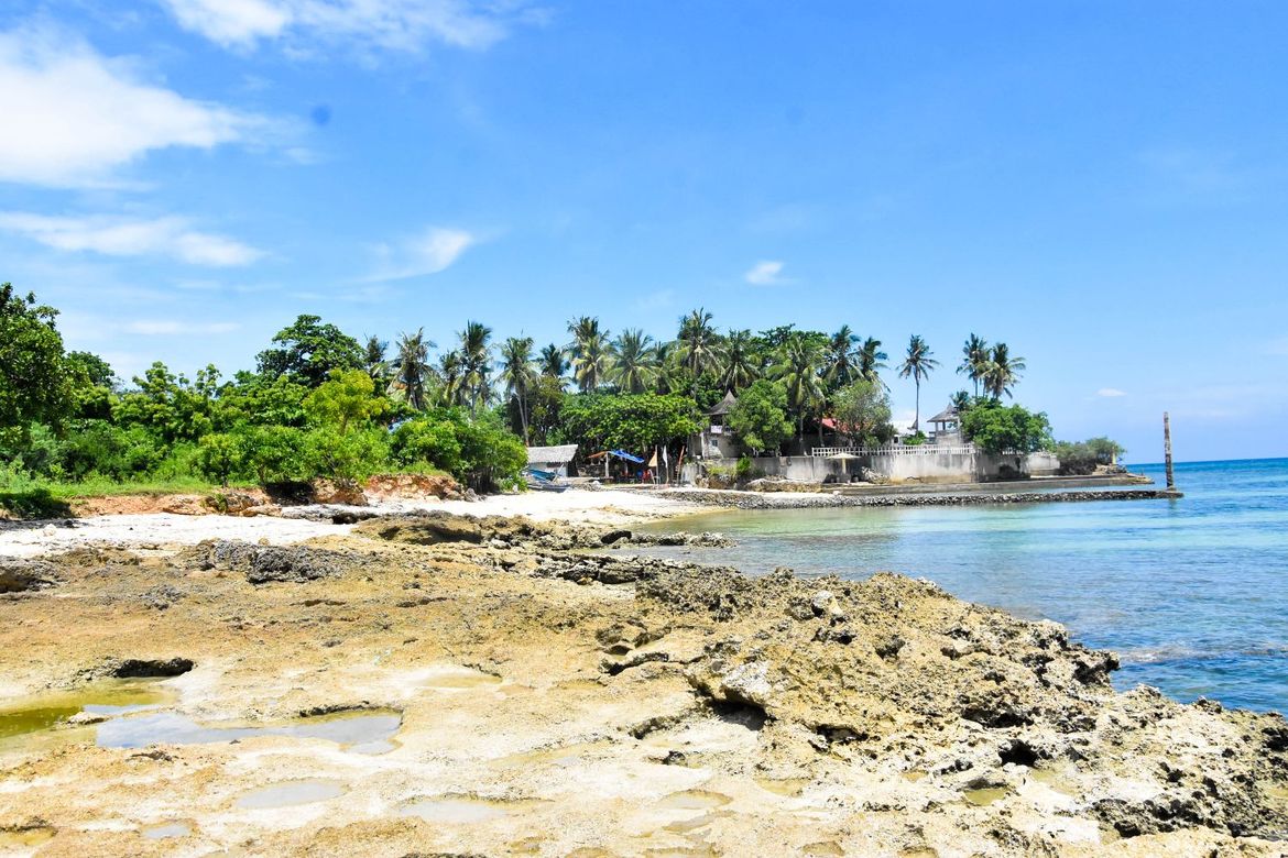 Land for Sale in Busogon, San Remigio, Cebu – photo 5