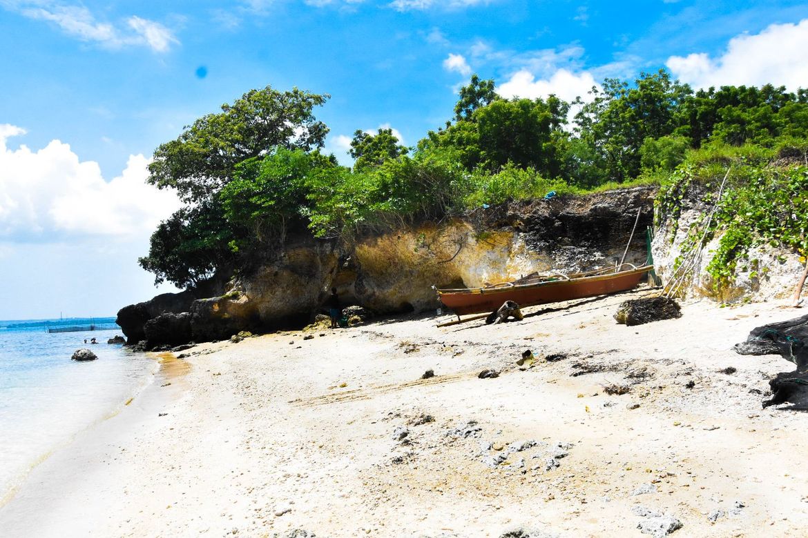 Land for Sale in Busogon, San Remigio, Cebu – photo 8