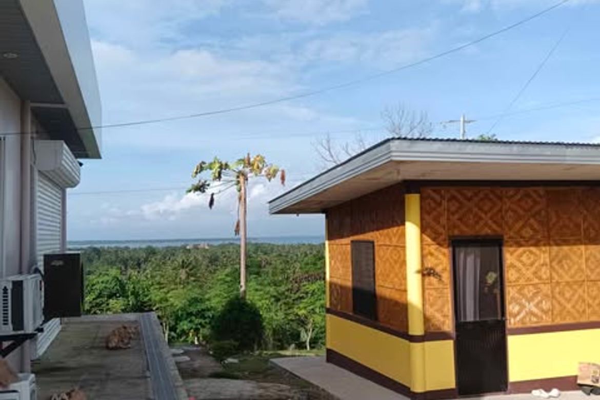 Land for Sale in Butong, Ronda, Cebu – photo 7