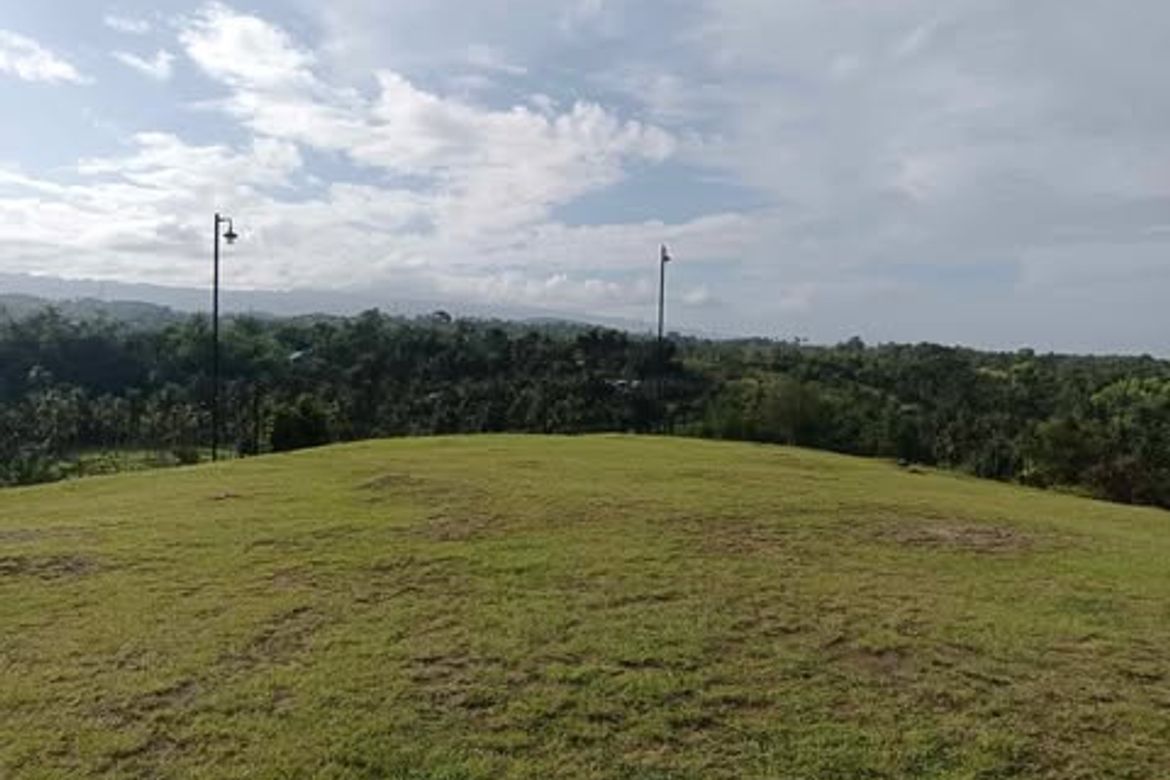 Land for Sale in Butong, Ronda, Cebu – photo 8