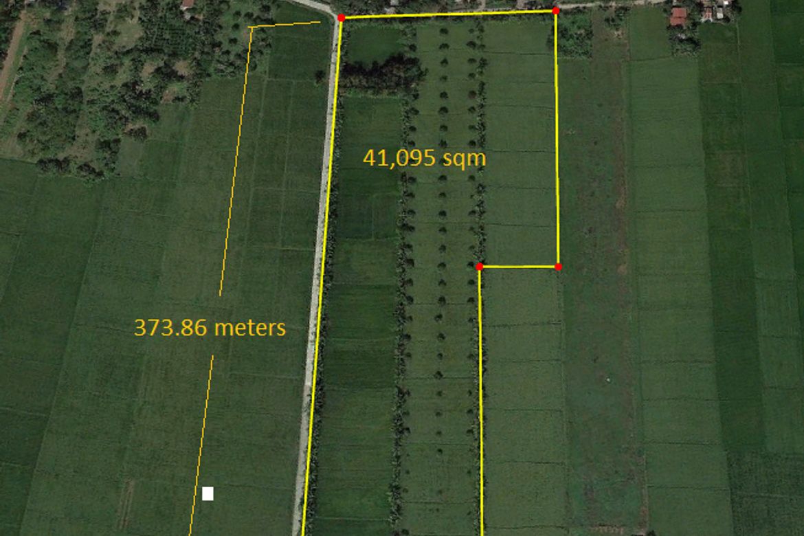 Land for Sale in Caalibangbangan, Cabanatuan, Nueva Ecija – photo 3