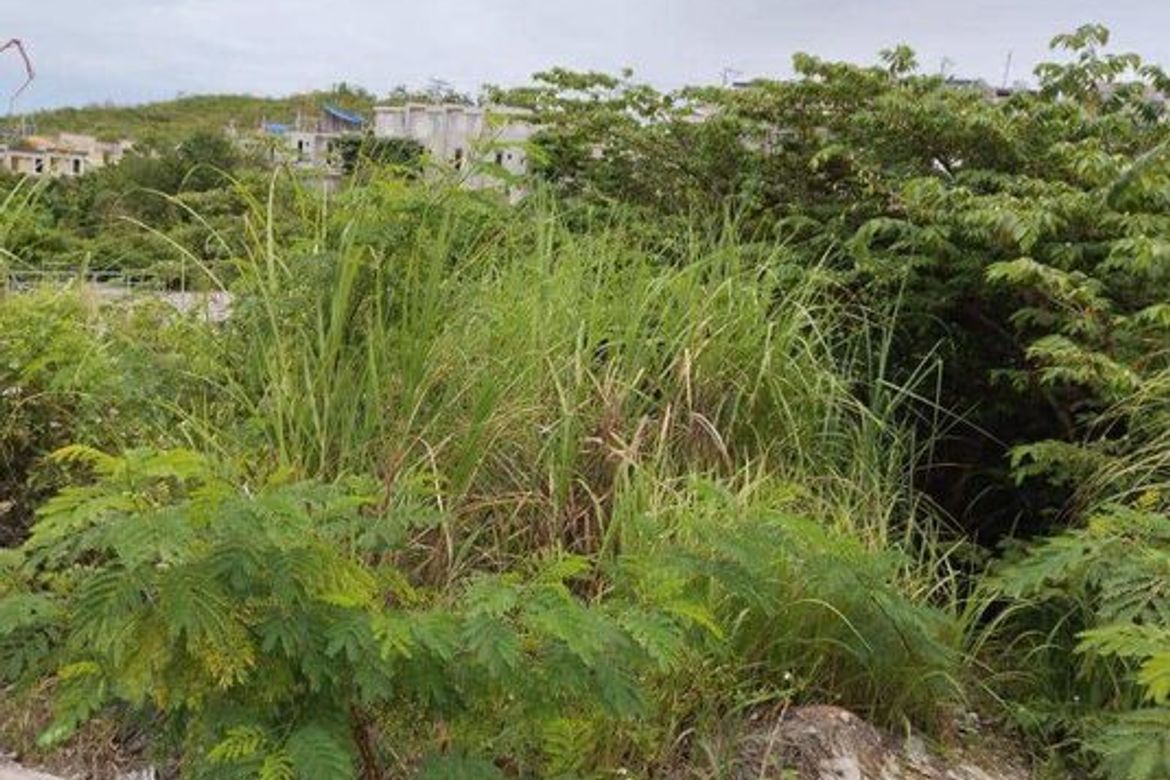 Land for Sale in Cabadiangan, Compostela, Cebu – photo 2