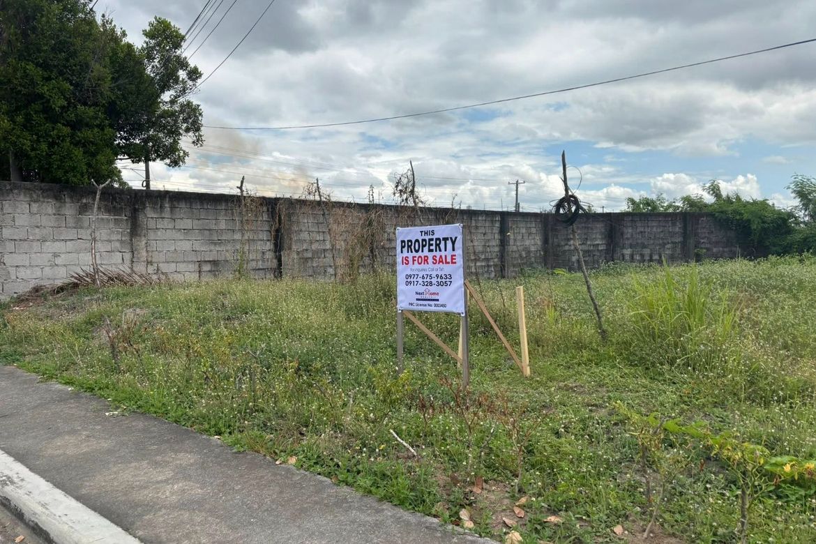 Land for Sale in Cabalantian, Bacolor, Pampanga – photo 3