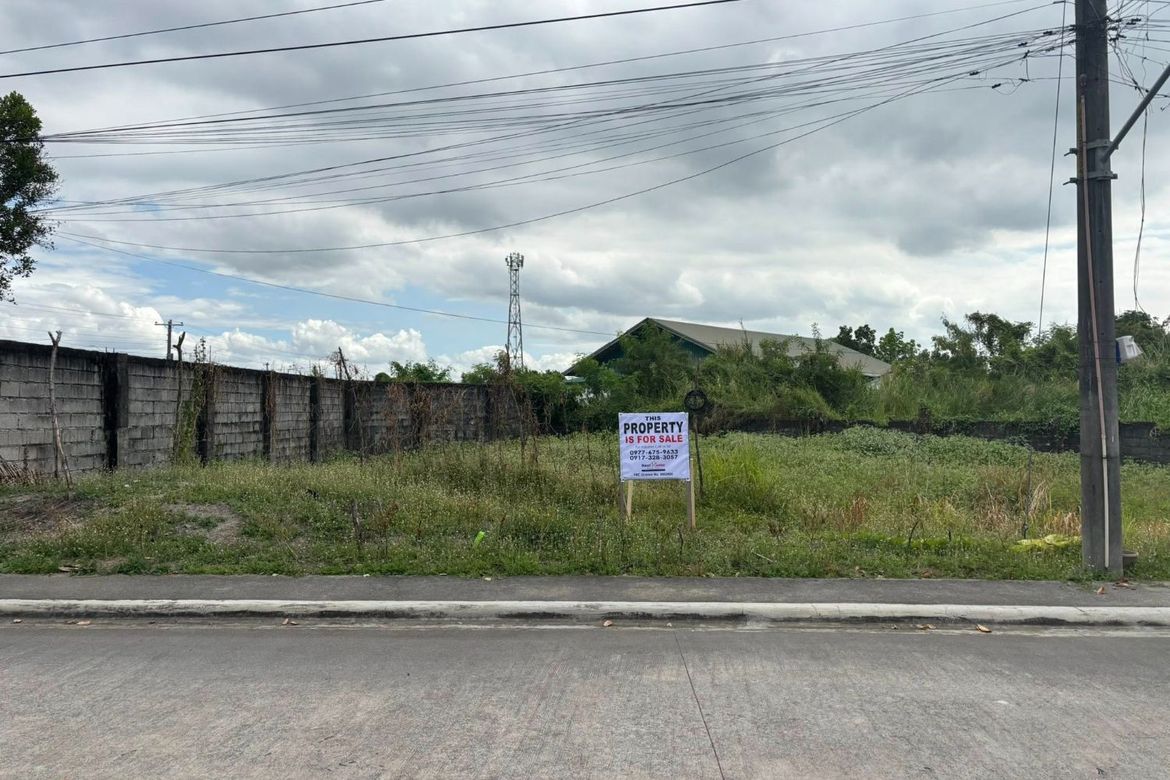 Land for Sale in Cabalantian, Bacolor, Pampanga – photo 6