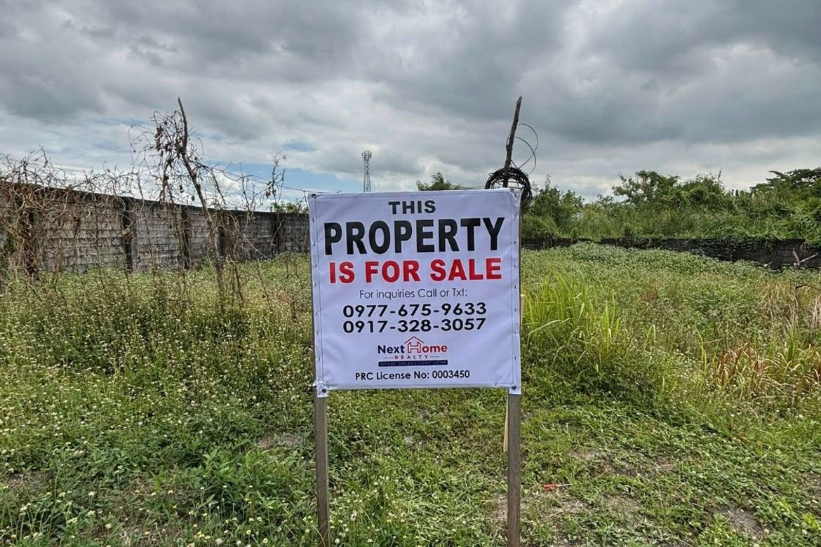 Land for Sale in Cabalantian, Bacolor, Pampanga – photo 8