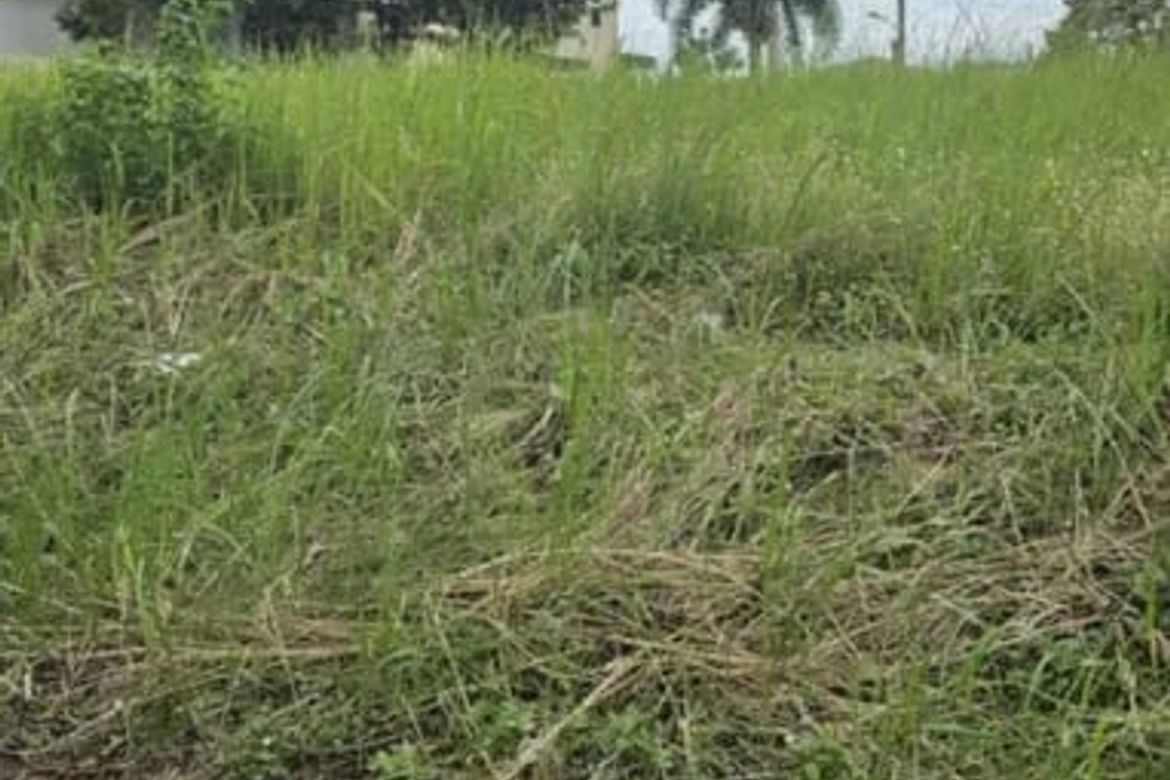 Land for Sale in Cabambangan, Bacolor, Pampanga – photo 3