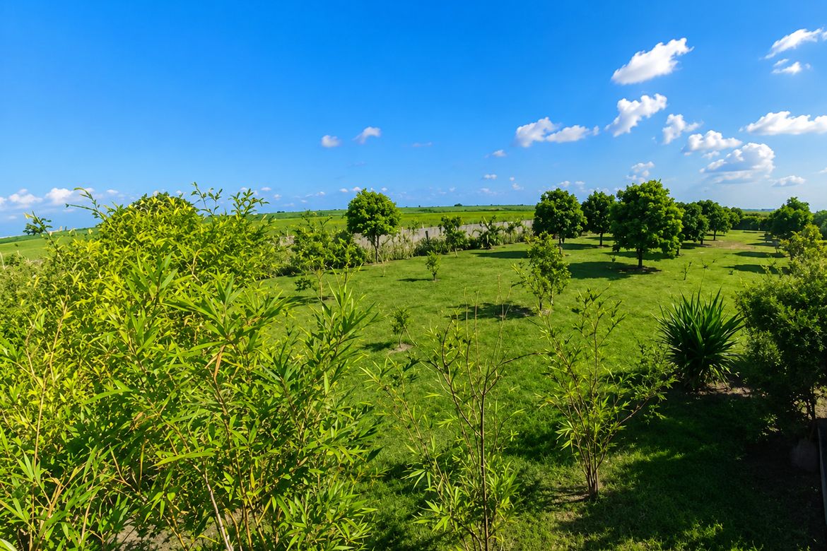 Land for Sale in Cabambangan, Bacolor, Pampanga – photo 2