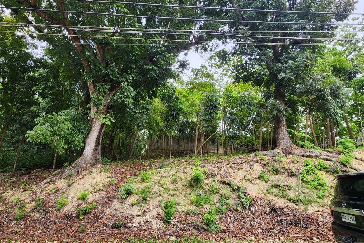 Land for Sale in Cabancalan, Mandaue, Cebu