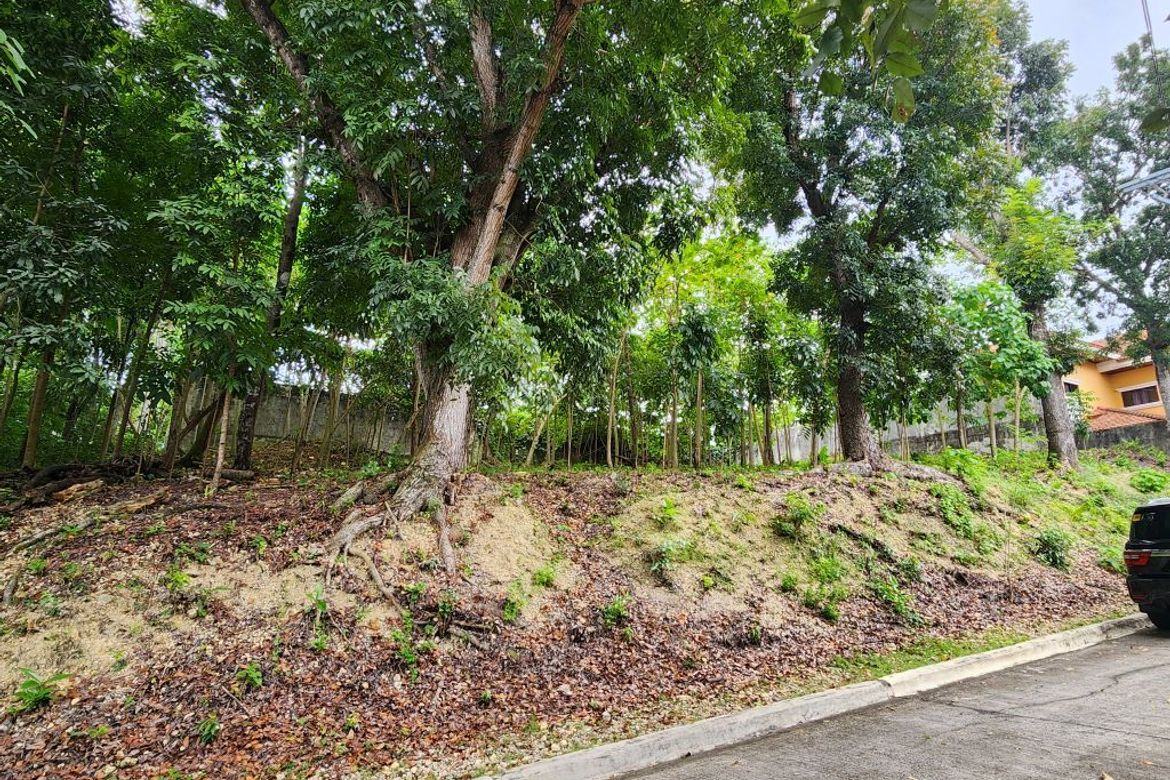 Land for Sale in Cabancalan, Mandaue, Cebu – photo 4