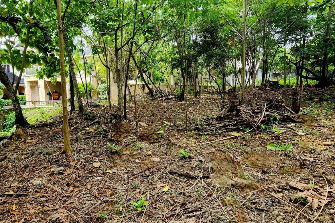 Land for Sale in Cabancalan, Mandaue, Cebu – photo 2