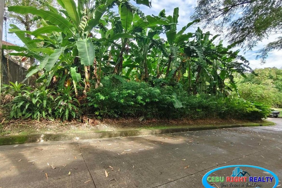 Land for Sale in Cabancalan, Mandaue, Cebu