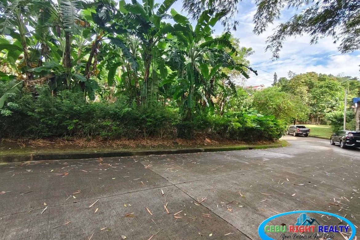 Land for Sale in Cabancalan, Mandaue, Cebu – photo 5