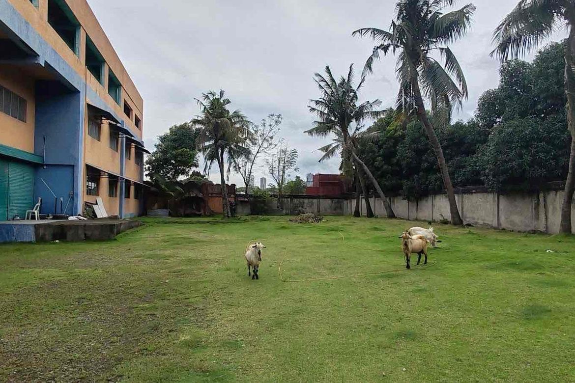 Land for Sale in Cabancalan, Mandaue, Cebu – photo 8