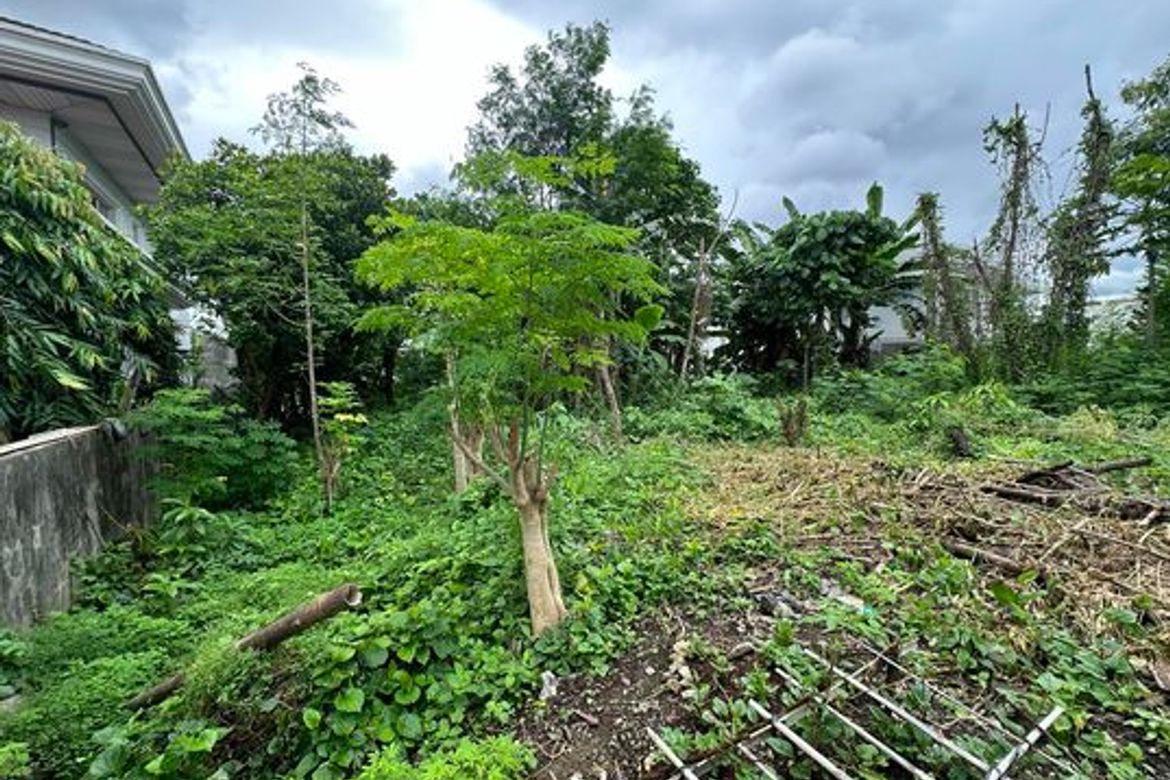 Land for Sale in Cabancalan, Mandaue, Cebu – photo 5