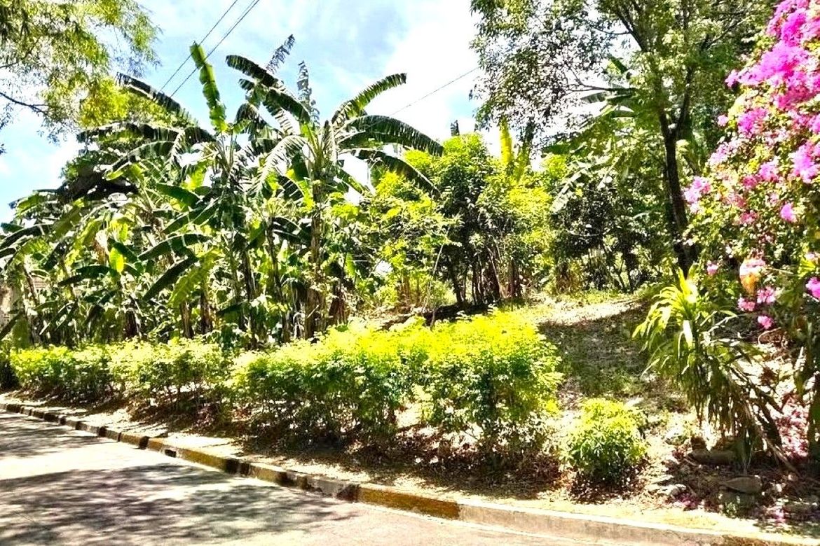 Land for Sale in Cabancalan, Mandaue, Cebu – photo 4