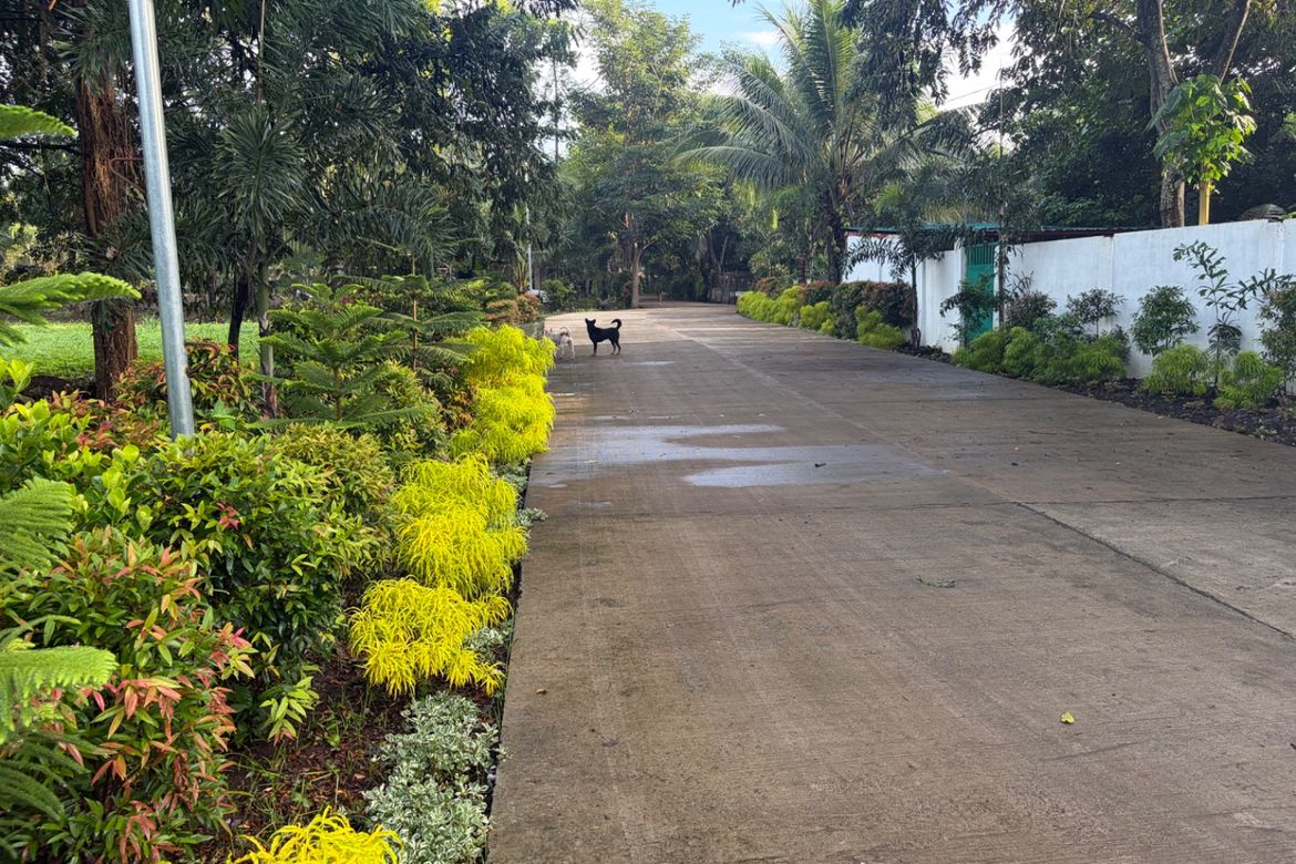 Land for Sale in Cabangahan, Malaybalay, Bukidnon – photo 2