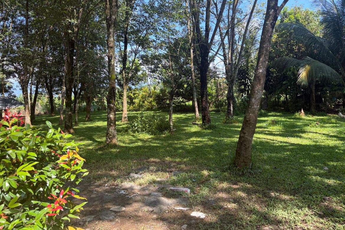 Land for Sale in Cabangahan, Malaybalay, Bukidnon – photo 6