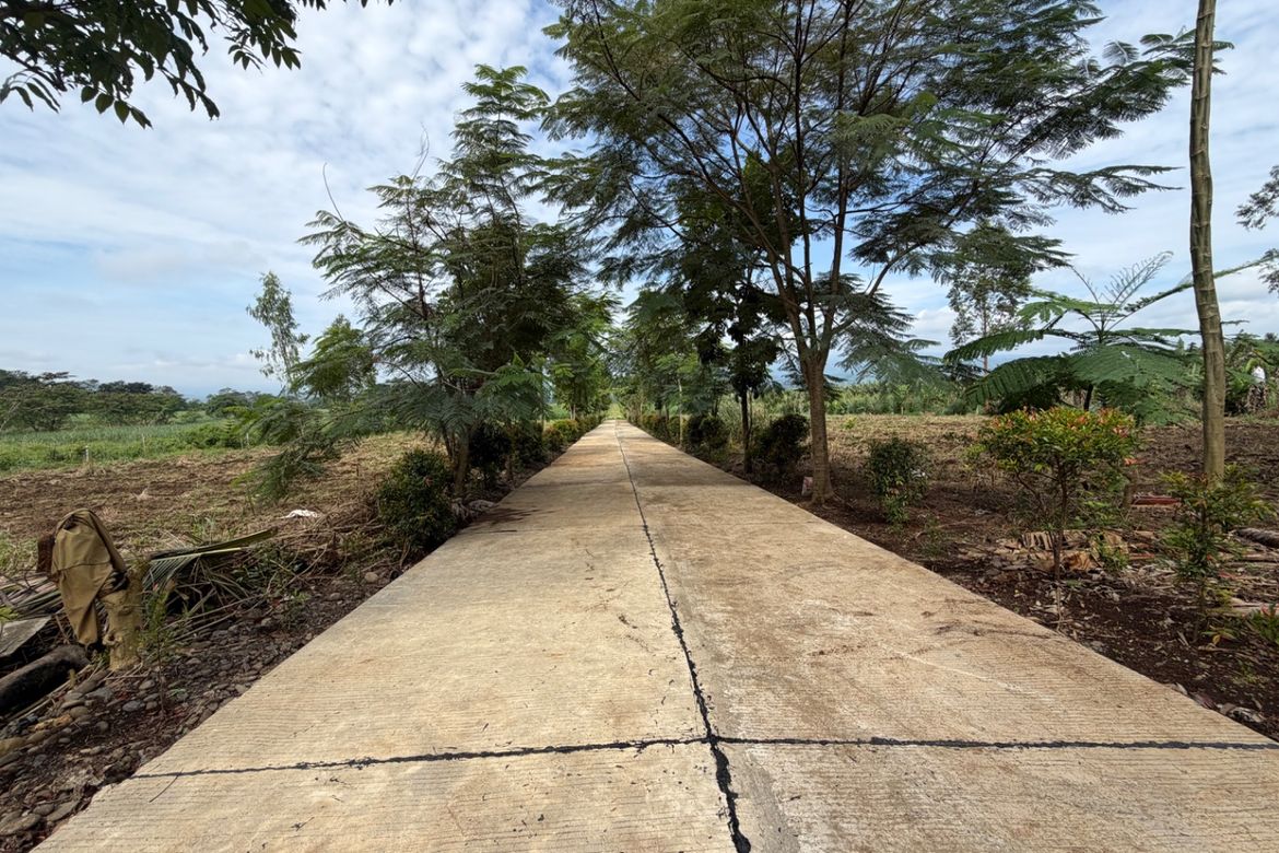 Land for Sale in Cabangahan, Malaybalay, Bukidnon – photo 7