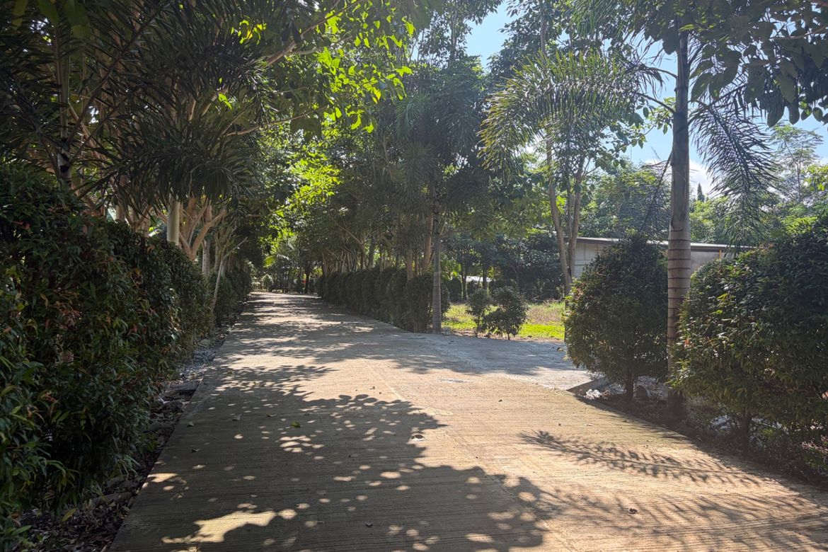 Land for Sale in Cabangahan, Malaybalay, Bukidnon – photo 8