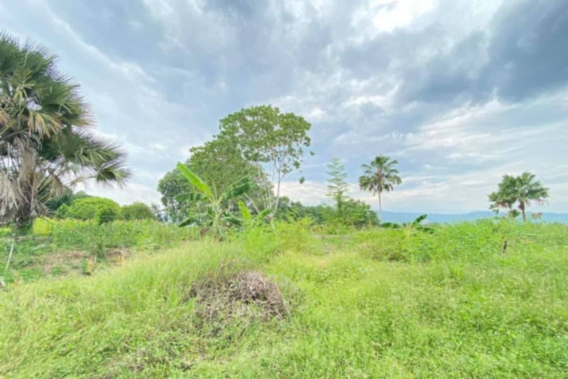 Land for Sale in Cabantian, Davao City, Davao del Sur – photo 3