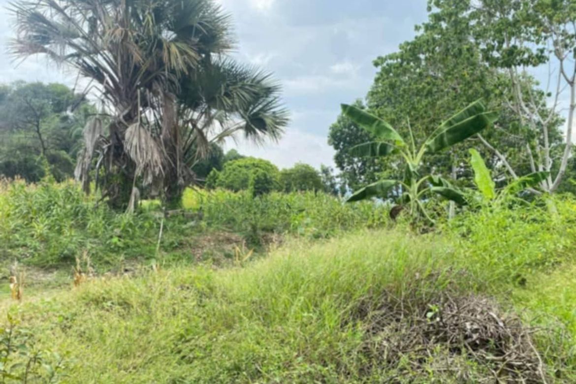 Land for Sale in Cabantian, Davao City, Davao del Sur – photo 5