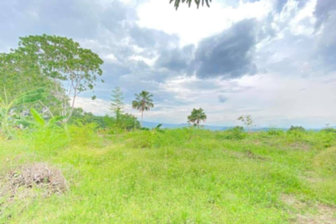Land for Sale in Cabantian, Davao City, Davao del Sur – photo 6