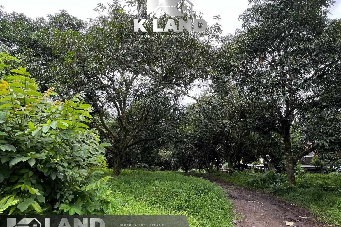 Land for Sale in Cabantian, Davao City, Davao del Sur – photo 2