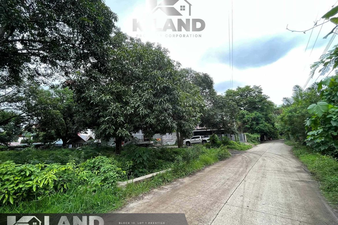 Land for Sale in Cabantian, Davao City, Davao del Sur – photo 4