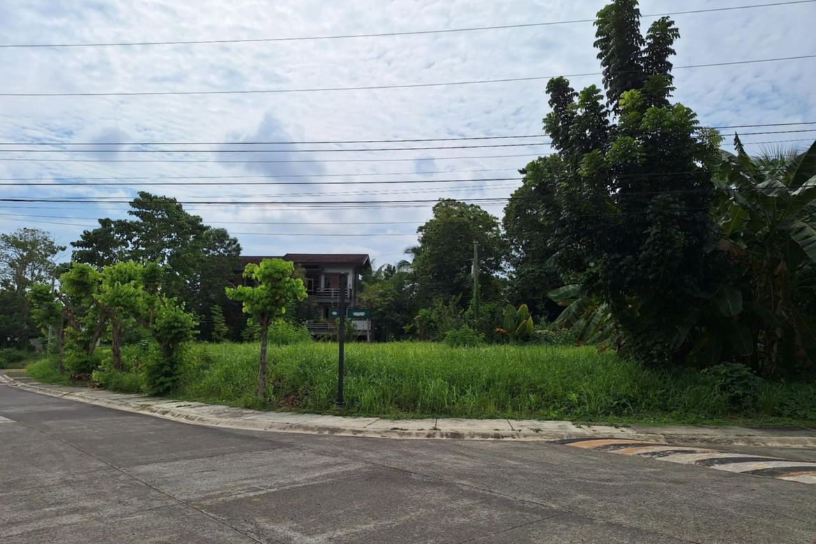 Land for Sale in Cabantian, Davao City, Davao del Sur – photo 2