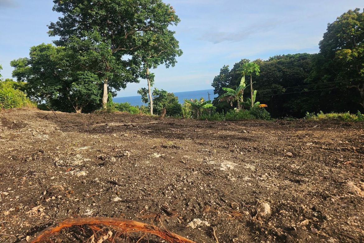 Land for Sale in Cabantian, Guindulman, Bohol