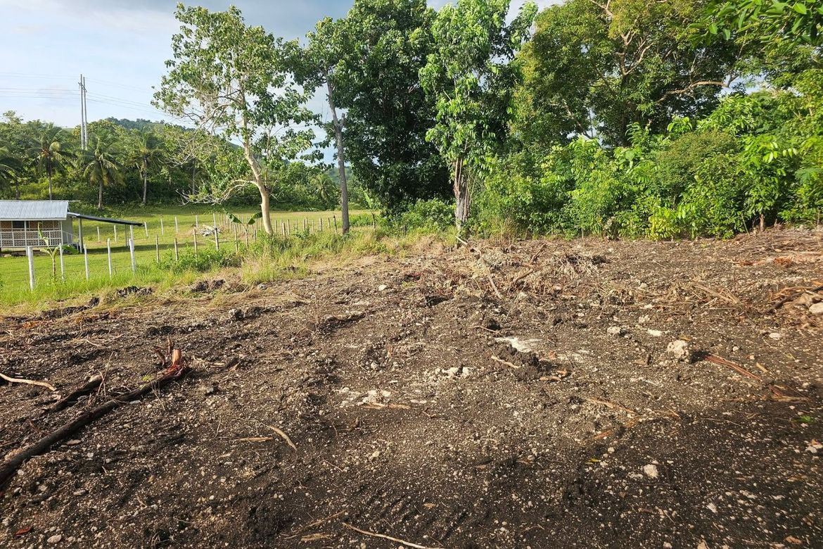 Land for Sale in Cabantian, Guindulman, Bohol – photo 3