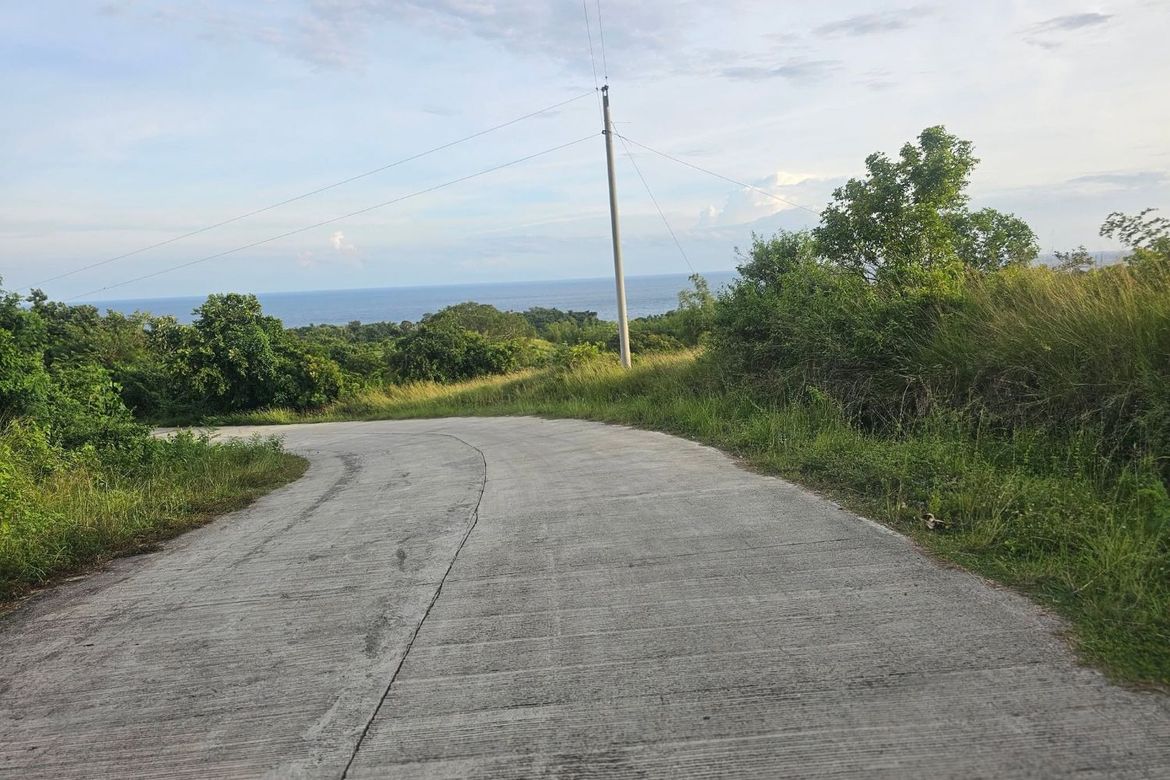 Land for Sale in Cabantian, Guindulman, Bohol – photo 4