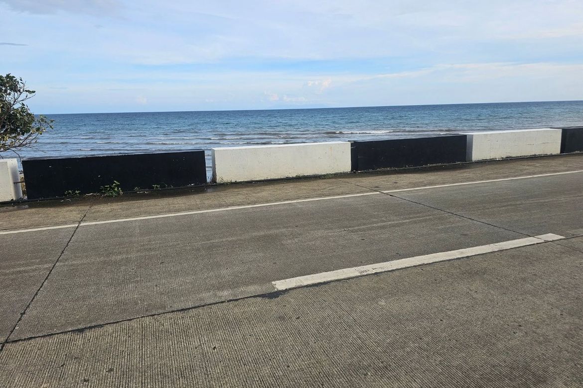Land for Sale in Cabantian, Guindulman, Bohol – photo 7