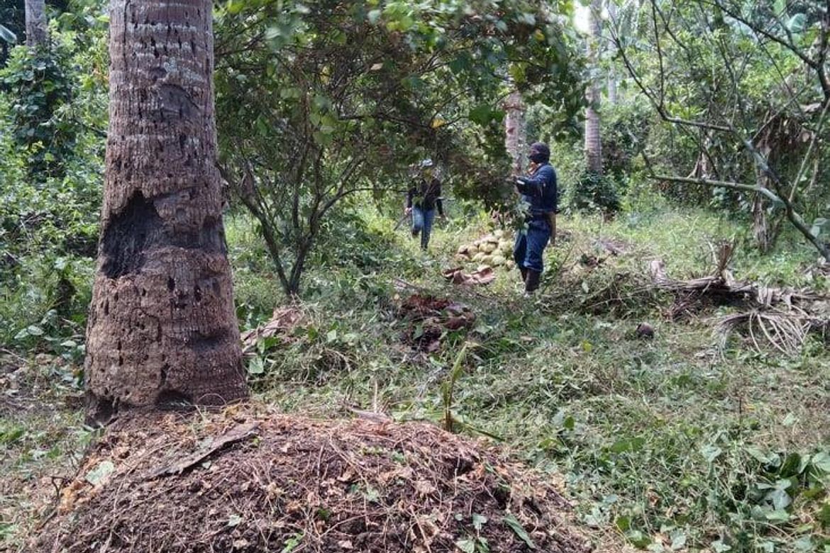 Land for Sale in Cabatang, Tiaong, Quezon – photo 5