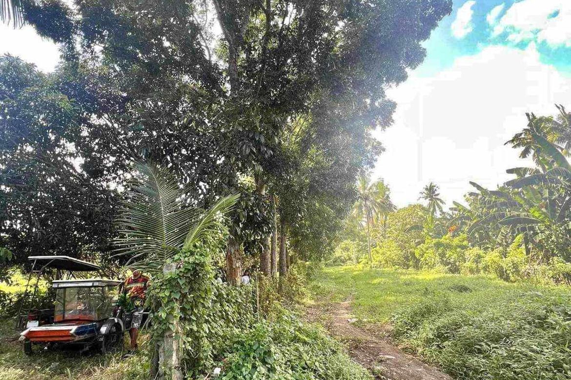 Land for Sale in Cabay, Tiaong, Quezon – photo 2