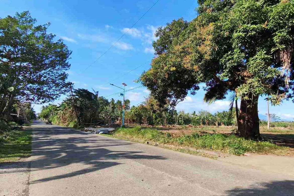 Land for Sale in Cabay, Tiaong, Quezon – photo 2