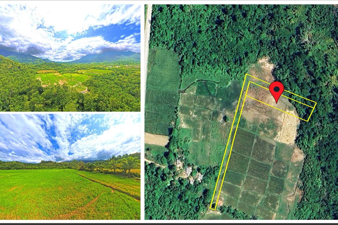 Land for Sale in Cabayugan, Puerto Princesa, Palawan
