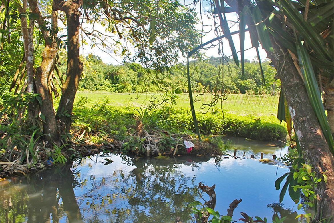 Land for Sale in Cabayugan, Puerto Princesa, Palawan – photo 7