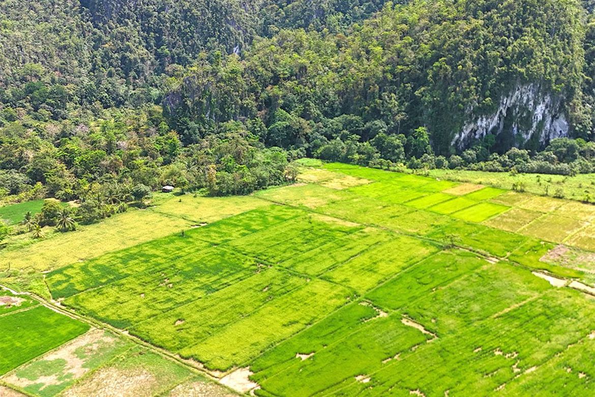 Land for Sale in Cabayugan, Puerto Princesa, Palawan – photo 3