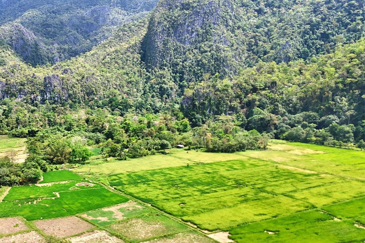 Land for Sale in Cabayugan, Puerto Princesa, Palawan – photo 5