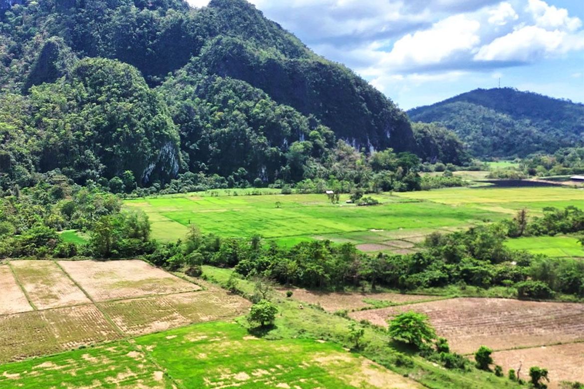 Land for Sale in Cabayugan, Puerto Princesa, Palawan – photo 9