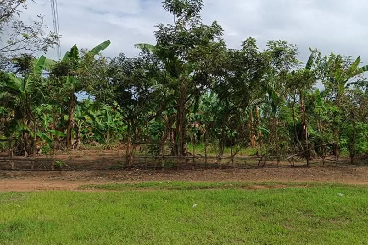 Land for Sale in Cabcaben, Mariveles, Bataan – photo 2